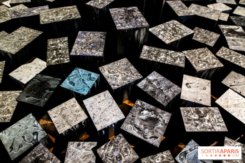 Carte blanche à Park Dong Soo au musée Guimet, nos photos - IMG 0104