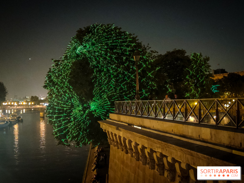Nuit Blanche 2023 : des projections lumineuses magiques au Square du Vert Galant de l'Île de la Cité