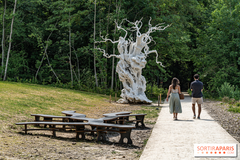 Perchoir Y, restaurant par Guillaume Sanchez et guinguette en forêt -  A7C5865