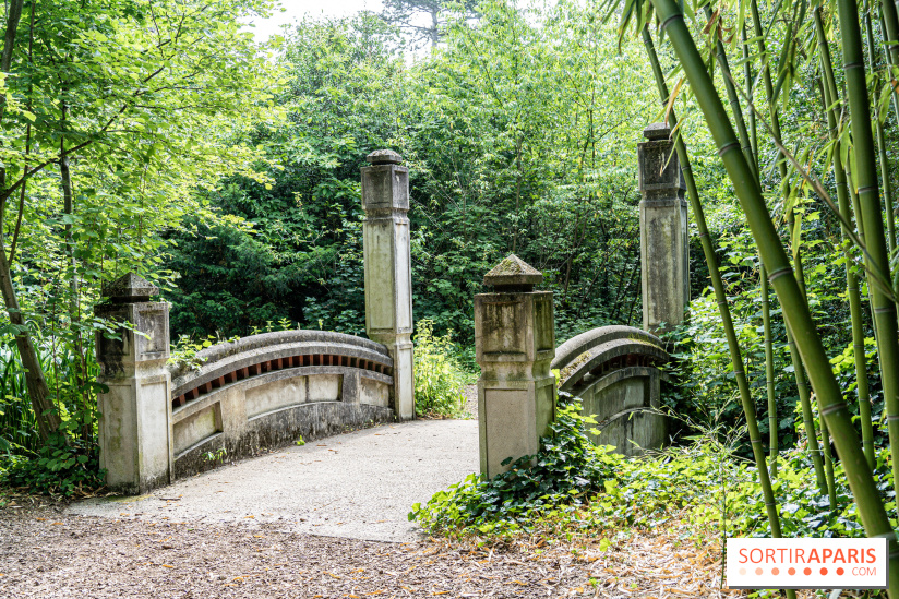 Jardin d'Agronomie Tropicale, le jardin exotique à Paris -  A7C6823