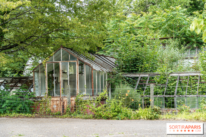 Jardin d'Agronomie Tropicale, le jardin exotique à Paris -  A7C6858