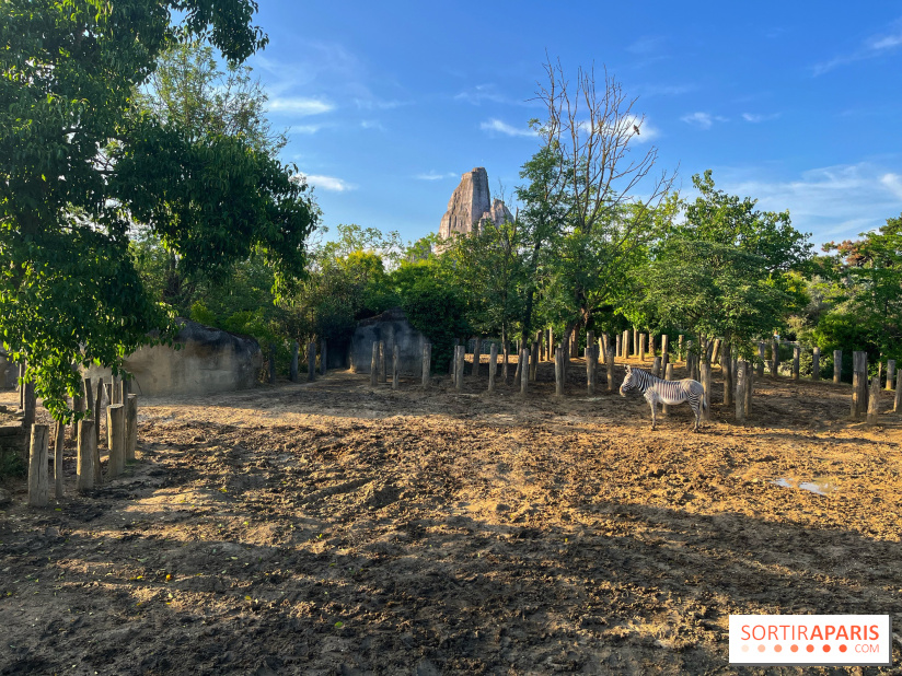 Nocturnes au Parc Zoologique de Paris - IMG 3495
