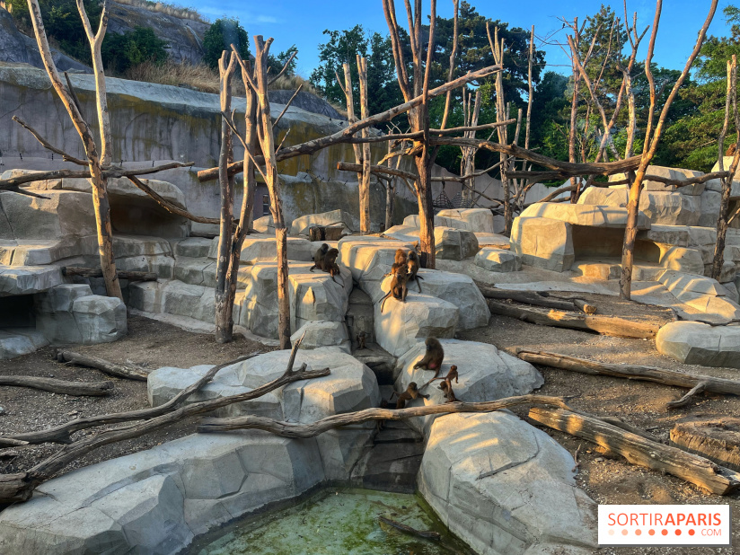 Nocturnes au Parc Zoologique de Paris - IMG 3517