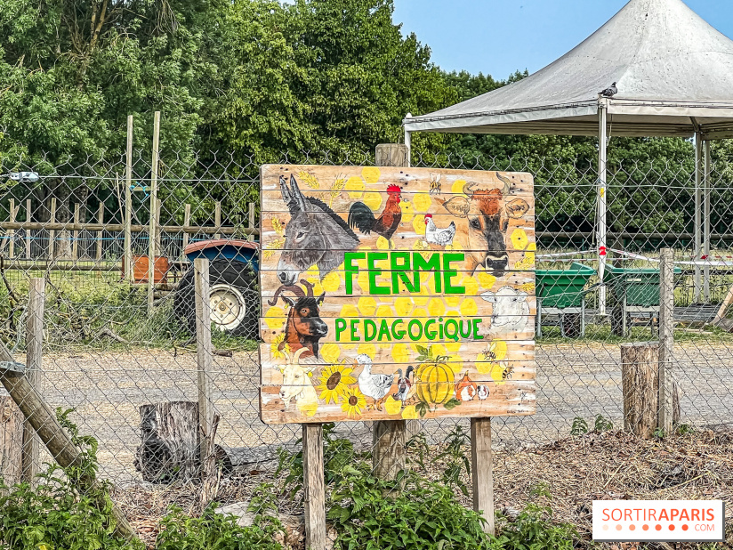 Base de loisirs de Saint-Quentin-en-Yvelines - Ile de loisirs de Trappes - activités - IMG 8646