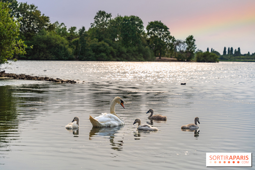 Base de loisirs de Saint-Quentin-en-Yvelines - Ile de loisirs de Trappes - activités - 295A94D4 9EFB 4FD4 9F1C 55C2E2224F4E