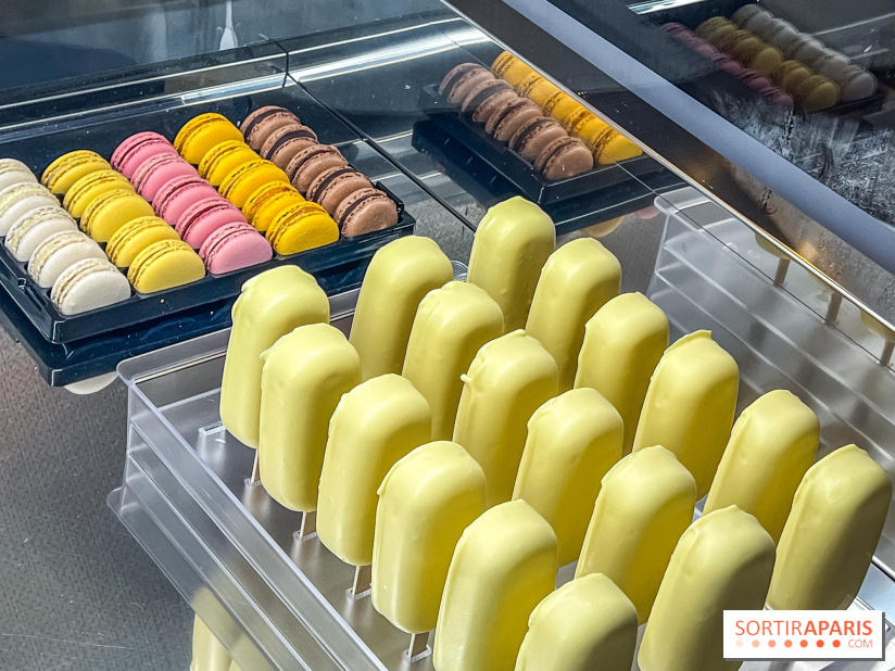 Le glacier Gérard Taurin à Paris - Meilleur Ouvrier de France - IMG 8732