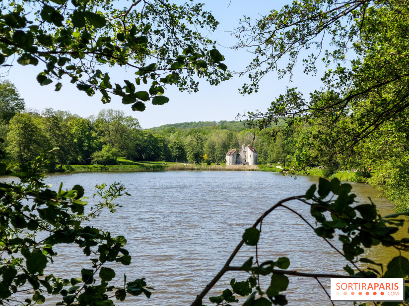 Balade nature dans la forêt de Montmorency, nos photos