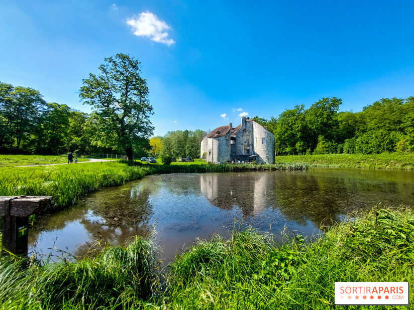 Balade nature dans la forêt de Montmorency, nos photos