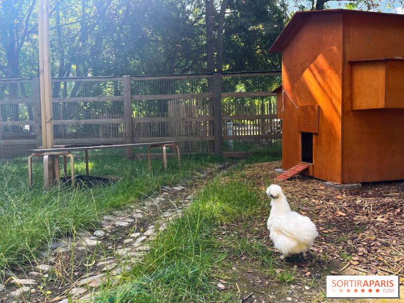 La ferme de la Villette et ses animaux