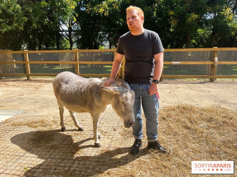 La ferme de la Villette et ses animaux