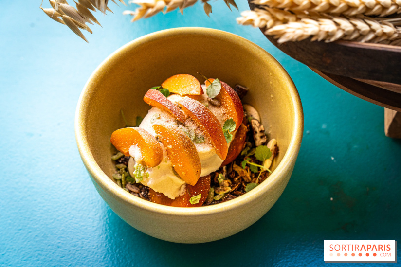 Glace insolite : la glace pain au chocolat de Sain -  A7C7851