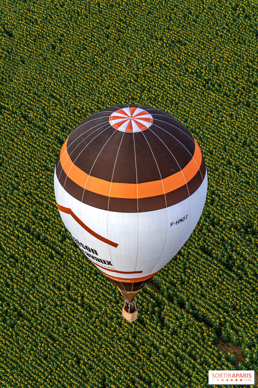 Montgolfière à Fontainebleau, vol au dessus de l'Ile-de-France - A7C9027