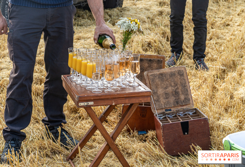 Montgolfière à Fontainebleau, vol au dessus de l'Ile-de-France - A7C9031