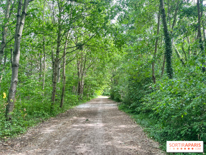 Cergy, la ville aux milles facettes - image00136