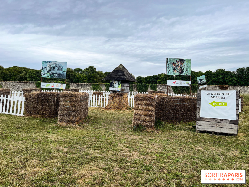 Les labyrinthes de Gally 2023 - image00009