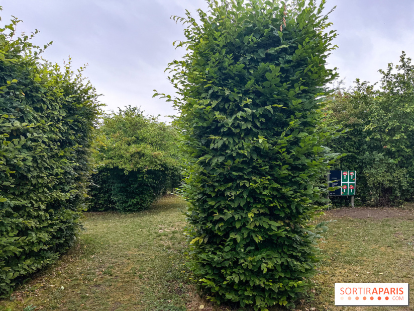 Les labyrinthes de Gally 2023