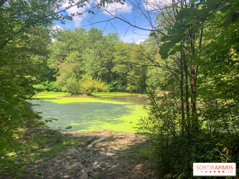 Le Parc forestier de la Poudrerie à Sevran