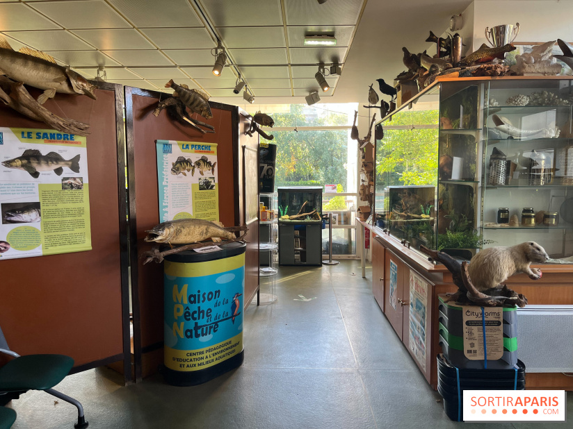 La Maison de la Pêche et de la Nature - image00027