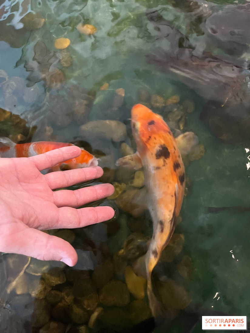 La Maison de la Pêche et de la Nature - image00001