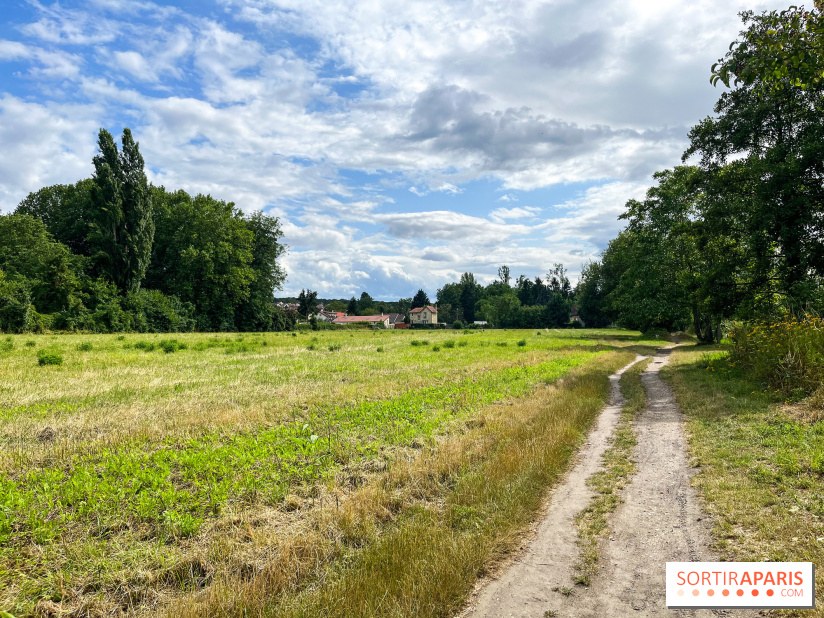 Le long de l'Oise, entre Auvers-sur-Oise et l'Isle-Adam