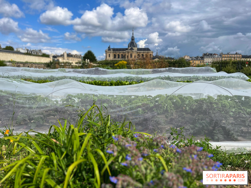 Potager du Roi
