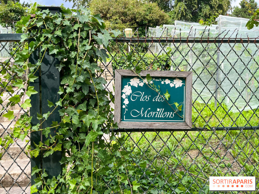 Le parc Georges Brassens, pour se croire à la campagne dans le 15e