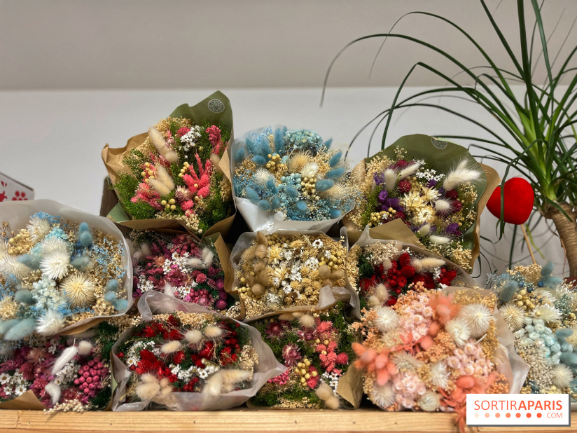 Boby la Plante - IMG 4353