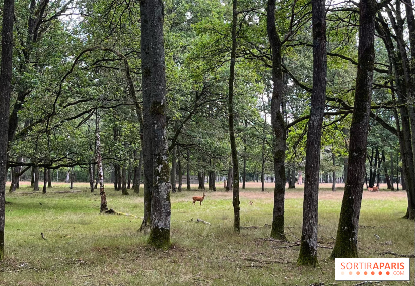 Espace Rambouillet - IMG 4375