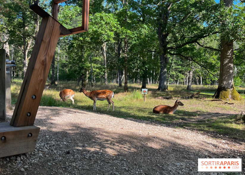 Espace Rambouillet - IMG 4417