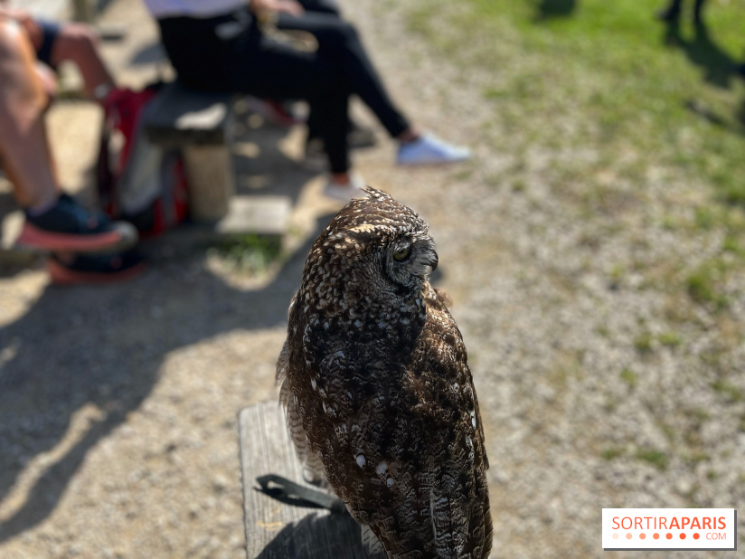 Espace Rambouillet - IMG 4454