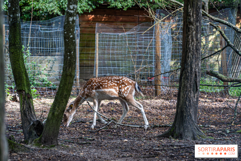 Le village de Janvry en Haute Vallée de Chevreuse  -  A7C0052
