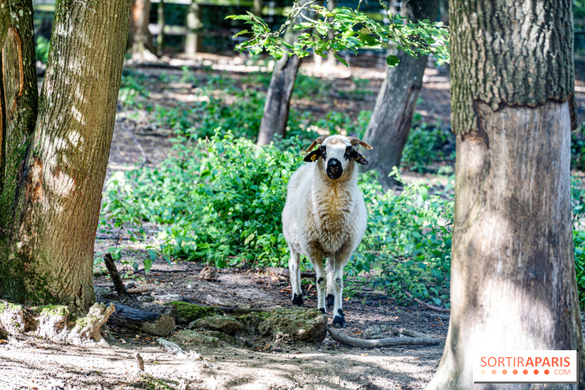 Le village de Janvry en Haute Vallée de Chevreuse - A7C0059