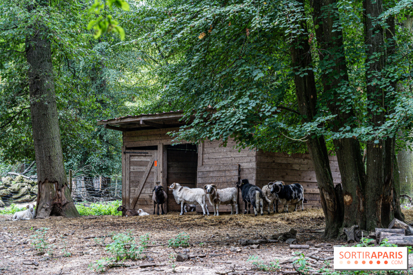 Le village de Janvry en Haute Vallée de Chevreuse  -  A7C9991