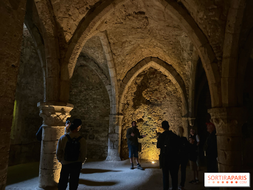 Provins, cité médiévale - IMG 4684