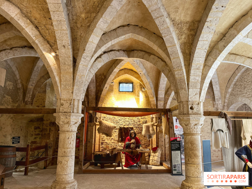 Provins, cité médiévale
