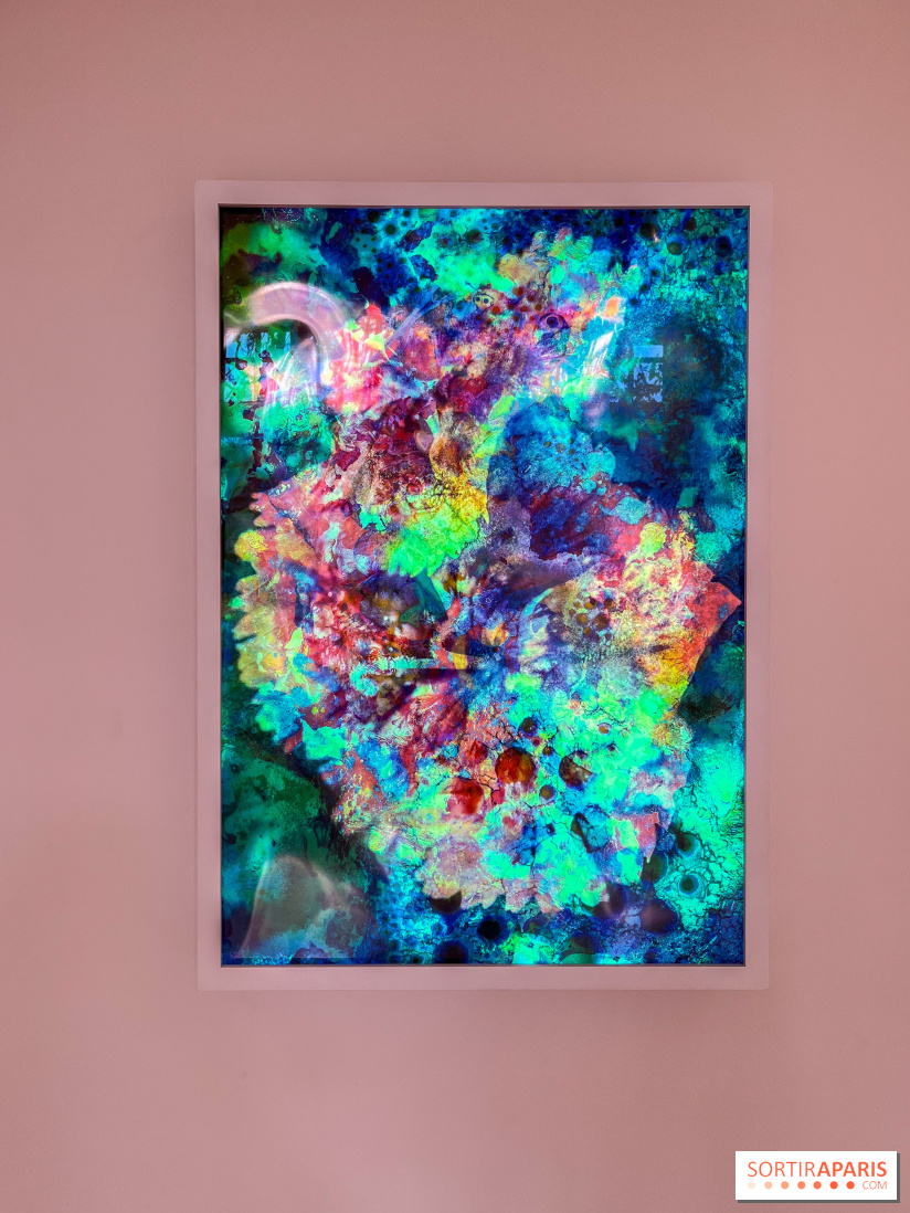 Poetry of Earth de Maya Rochat