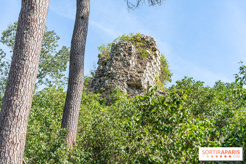 Village de Rochefort en Yvelines - A7C0273