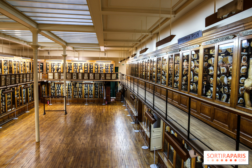 Musée des Moulages à Paris, nos photos