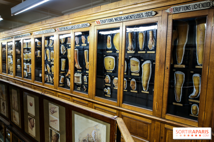 Musée des Moulages à Paris, nos photos