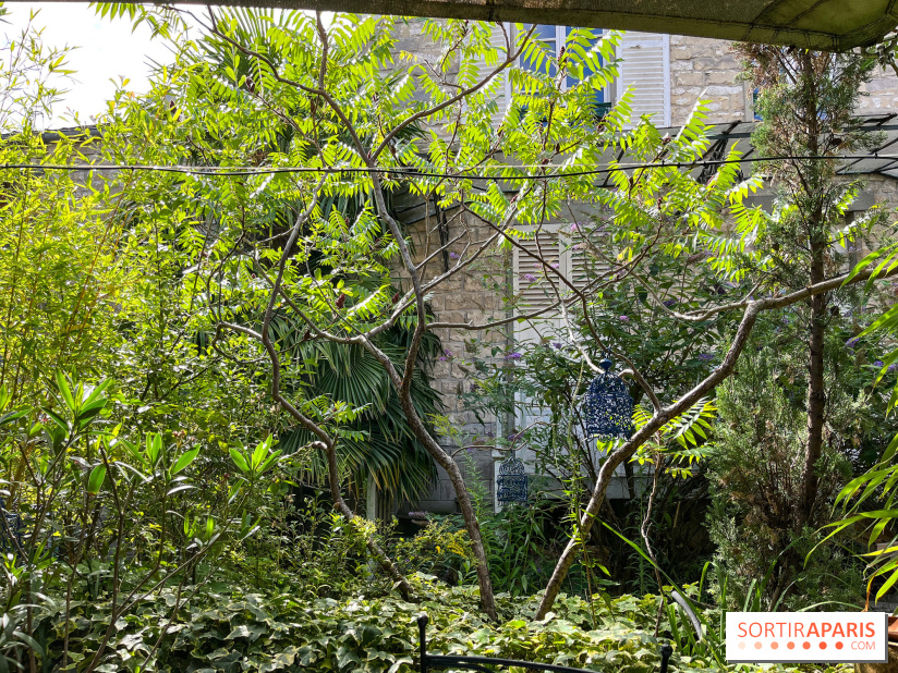 Le Petit Cormier, Montigny-sur-Loing - image00012