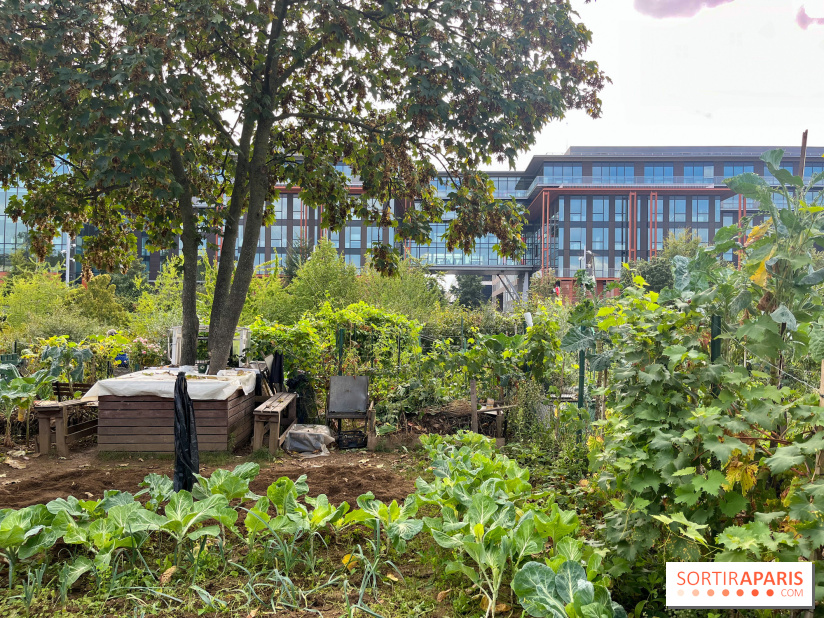 Le Grand Parc des Docks, à Saint-Ouen - image00222