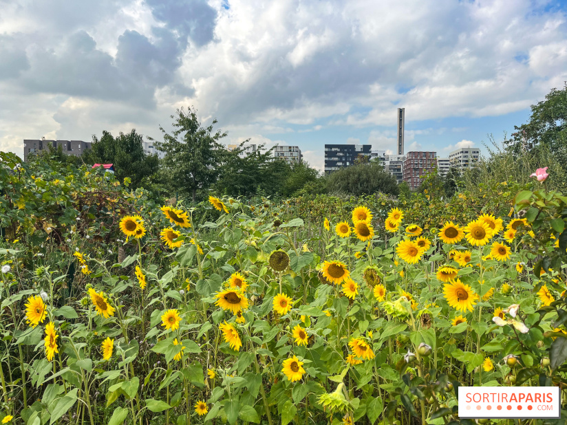 Le Grand Parc des Docks, à Saint-Ouen