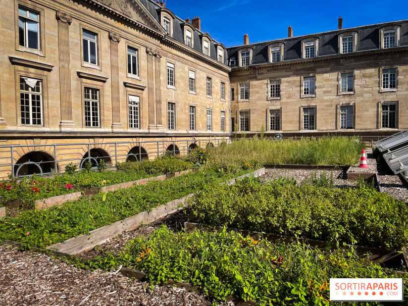 Vignoble Hôtel de Ville