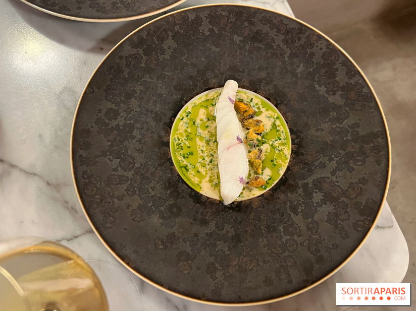 Tracé, Clément Vergeat - Turbot et moules