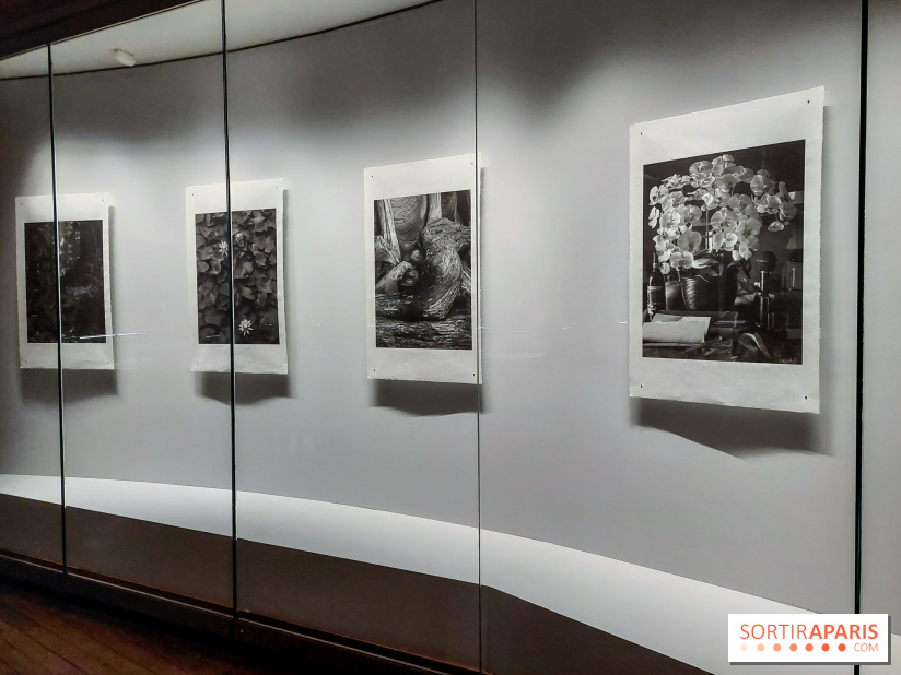Portrait éphémère du Japon, nos photos de l'expo - 20230919 105652