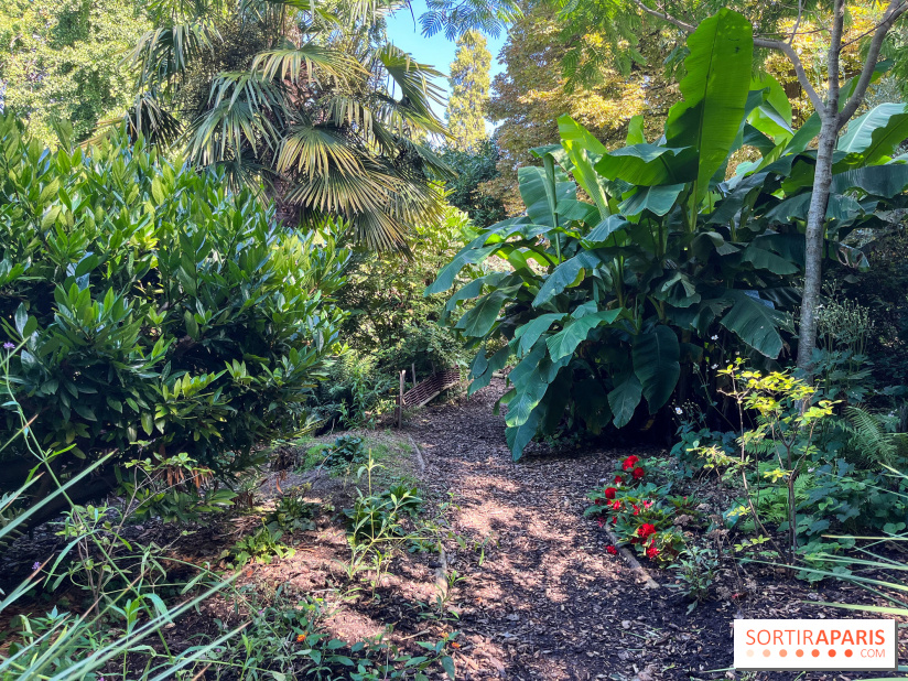Parc de la butte du chapeau rouge - image00792