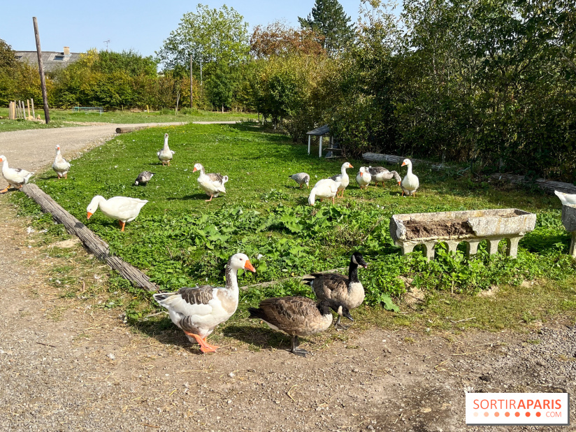 La Ferme des 4 Etoiles à Auffargis
