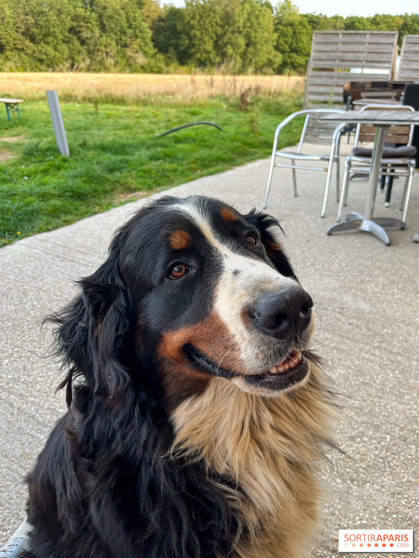 La Ferme des 4 Etoiles à Auffargis - image00006