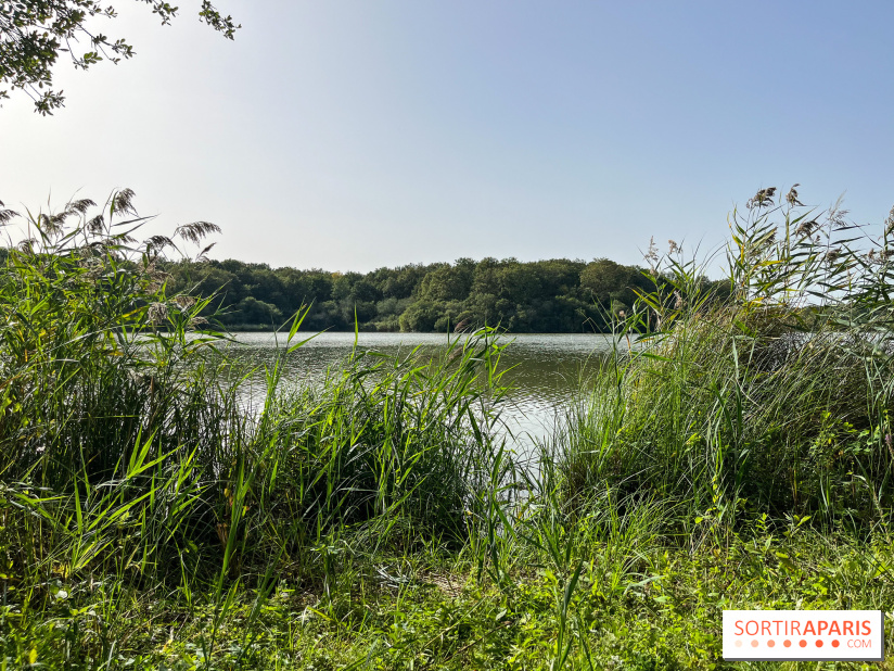 La Ferme des 4 Etoiles à Auffargis - image00007