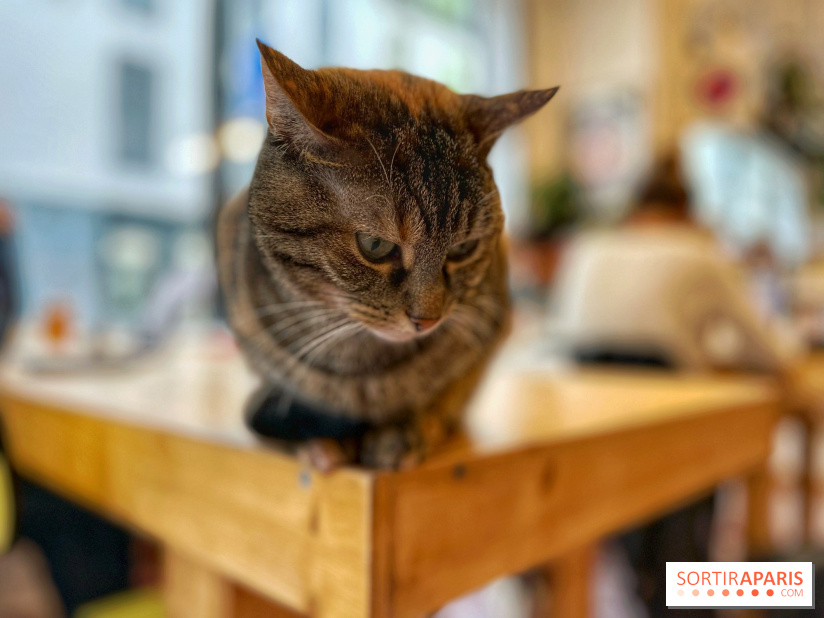 La Régulière - IMG 5295